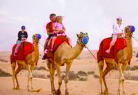 Dubai, Safari, Quad Bike, Camel Ride y Buffet Cena - Housity