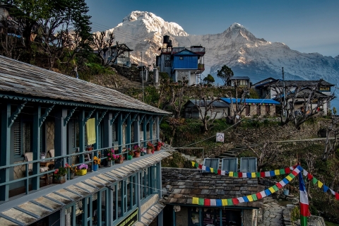 Pokhara: Trekking do obozu bazowego pod Annapurną – 8 dniTrekking do bazy pod Annapurną