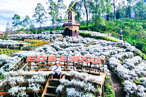 بالي: من القمم المقدسة إلى وادي الأزهار الأبديةبالي: من القمم المقدسة إلى وادي الأزهار الخالدة