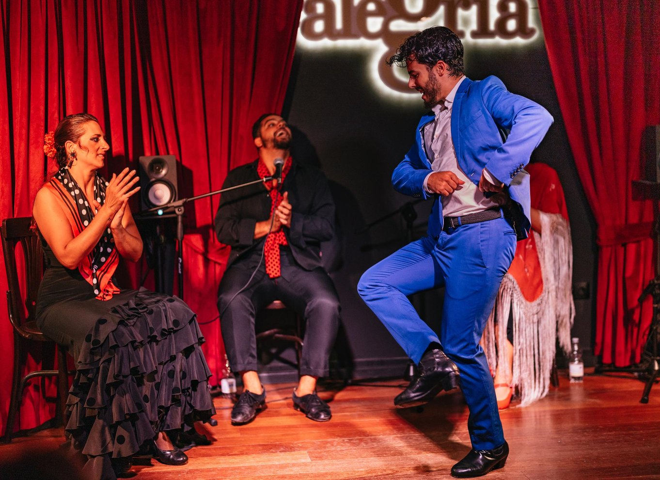 Málaga: Live flamenco-show på Flamenco Alegría