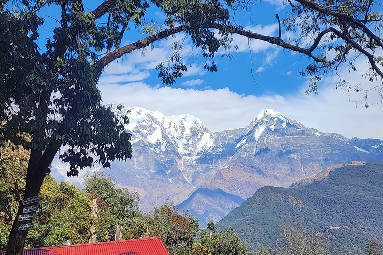 Mardi Himal Trek in Nepal