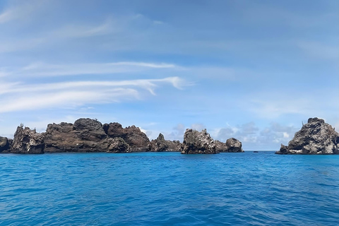 Tour de Buceo en Isla Floreana con Enchanted Islands