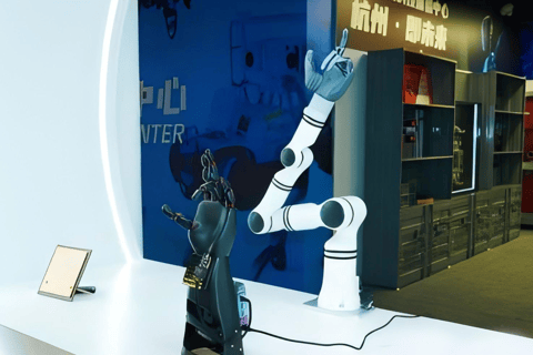 Hangzhou: AI & Robotics Museum Guided Tour with Pickup