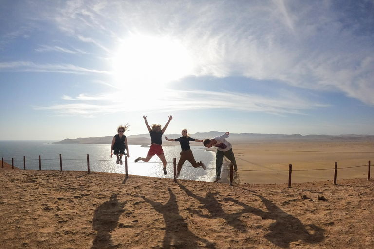 Paracas: Sightseeing Tour of the Ballestas Islands and National Reserve