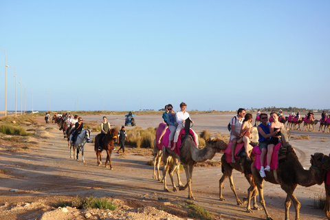 DJERBA : CAMELLO Y CABALLO (2H30).