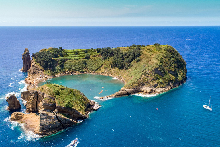 Whale and Dolphin Watching with Vila Franca Islet Visit