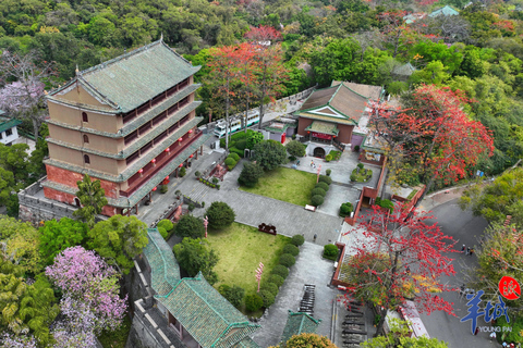 Tour de la ciudad de Guangzhou de un día completo con lo más destacado de lo antiguo y lo nuevo