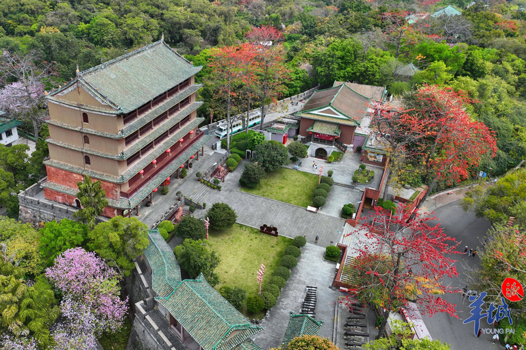 Tour di un giorno della città di Guangzhou con i punti salienti della città vecchia e nuova