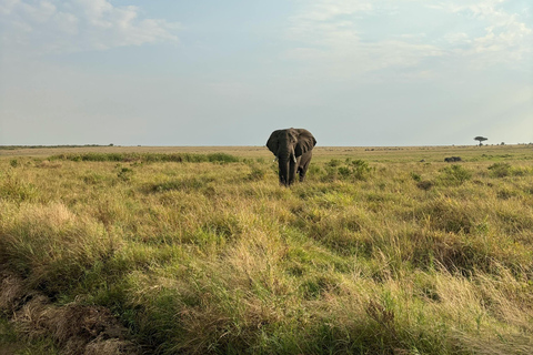 3-Day Maasai Mara Budget Group Safari with daily departures