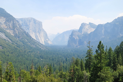 From Delhi: 2-Day Jim Corbett Wildlife Safari Tour by Car From Delhi: 2-Day Jim Corbett Wildlife Safari Tour by Car