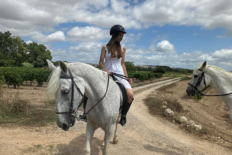 Alicante: przejażdżka konna po górach Maigmó, piknik i transferAlicante: Wycieczka konna na górę Maigmó, piknik i transfer