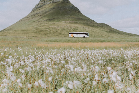 From Grundarfjörður: Snæfellsnes Peninsula Half-Day Tour