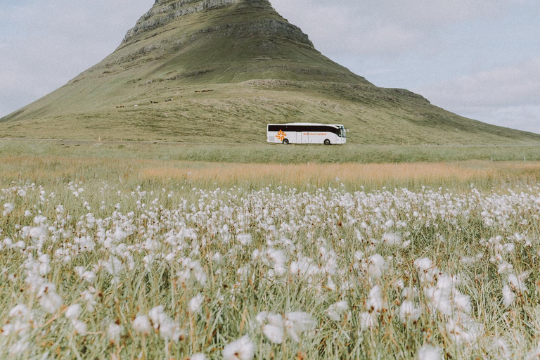 Au départ de Grundarfjörður : Visite d'une demi-journée de la péninsule de Snæfellsnes