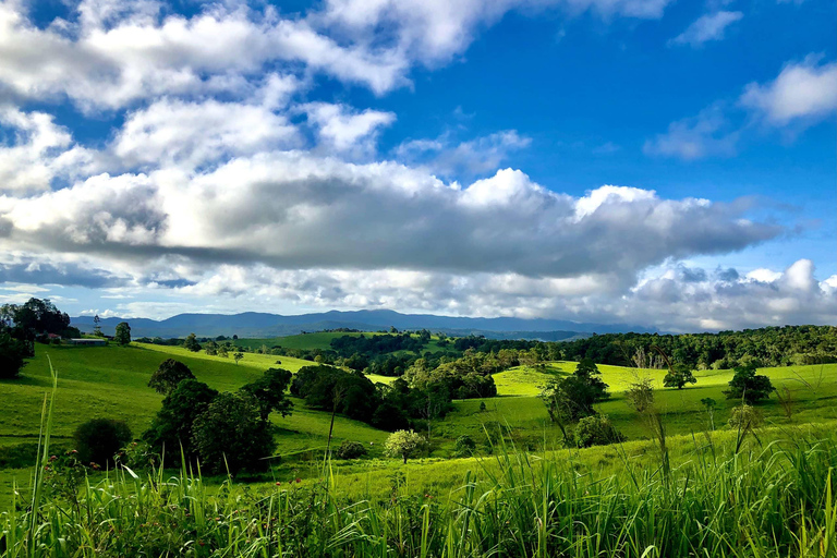 Port Douglas: Waterfall Tour with Lunch