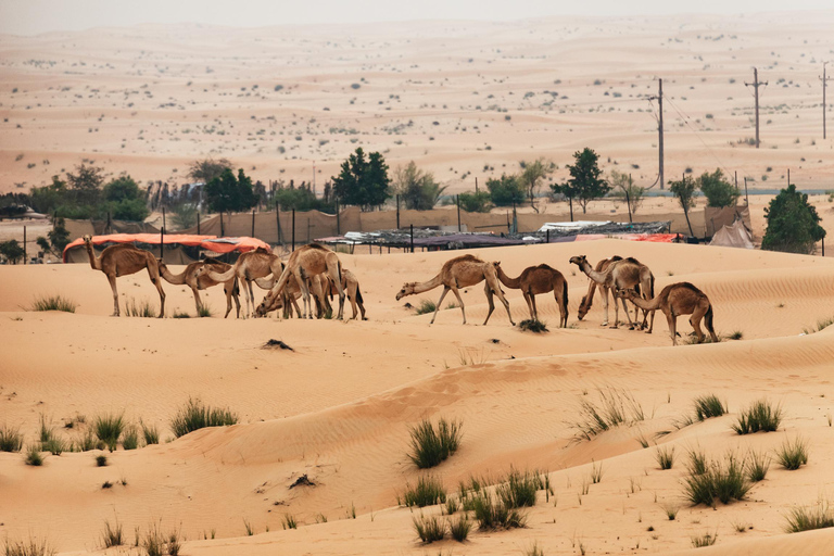 Dubai: Luftballongtur i soluppgången med kamelridning och frukost