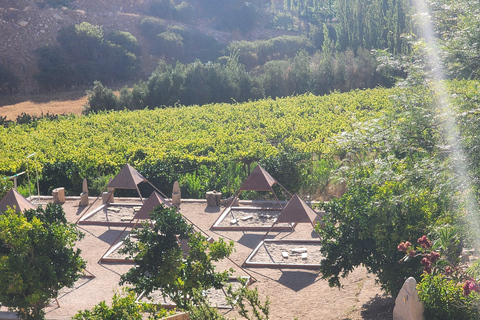 Horseback riding in the Cochiguaz River Sanctuary in the Elqui Valley.