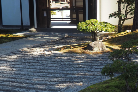 E-Bike Tour in Kyoto with Asuka, Japanese graduate student