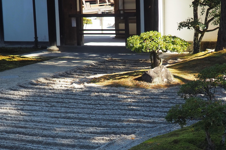 E-Bike Tour in Kyoto with Asuka, Japanese graduate student