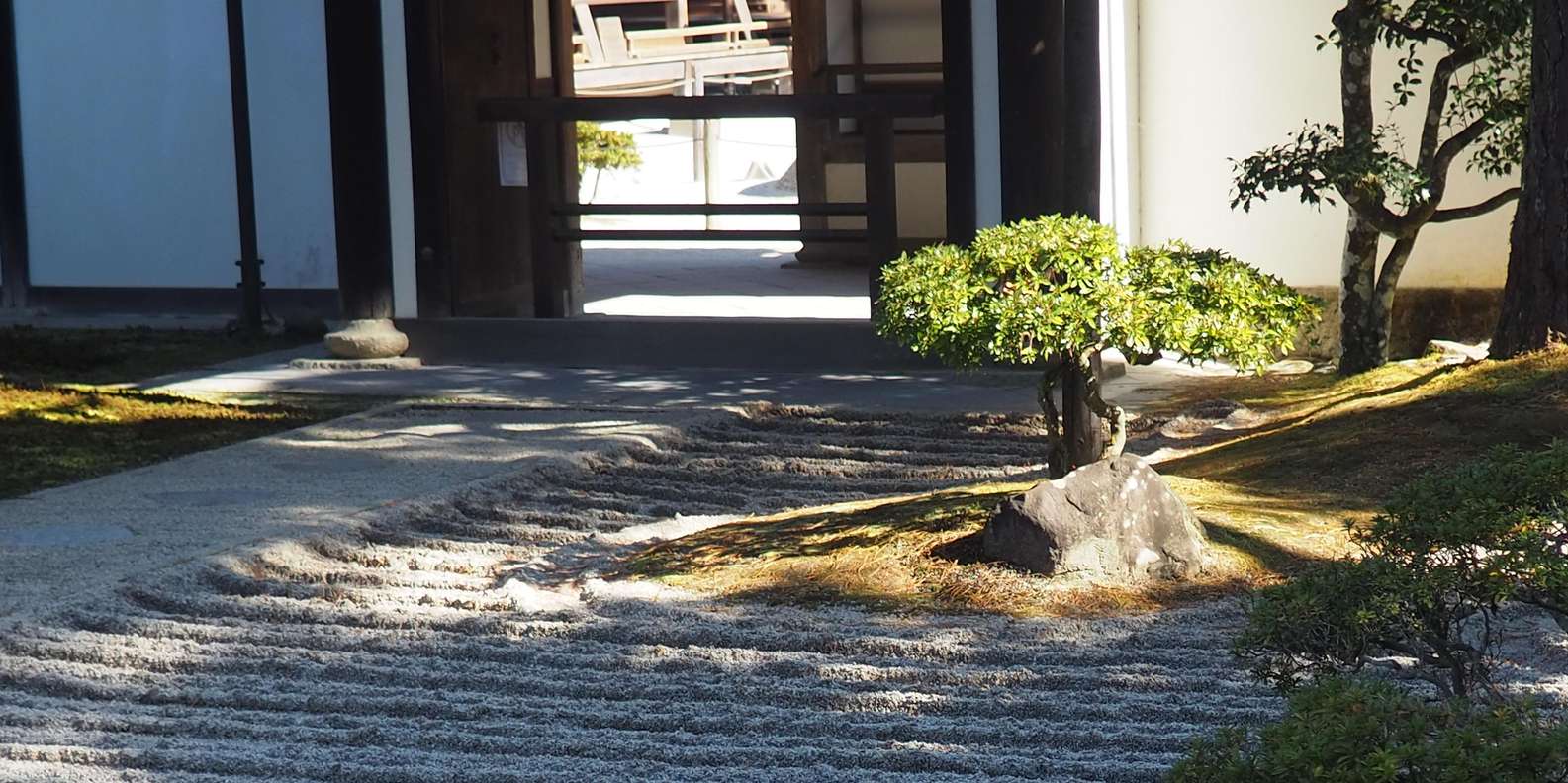 Kyoto experience — temples, geisha, bamboo grove — image 64