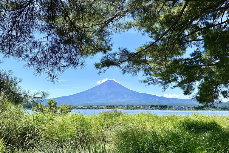 Tokyo : Excursion d'une journée à la 5e station du Mont Fuji, dans la région du Fuji et à Kawaguchiko8:20 Rendez-vous au bureau de poste de Shinjuku