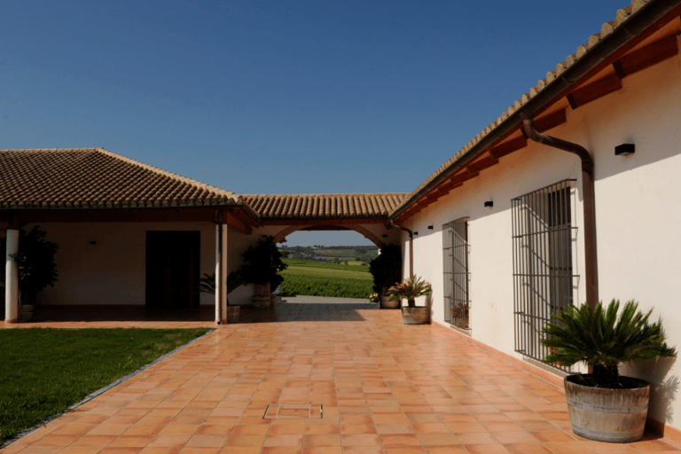 Standard Visit Huerta de Albalá Standard Visit to the Albalá Orchard