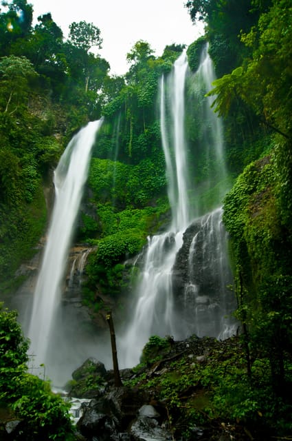 Viaje Al Norte De Bali Excursi N A Las Cascadas Majestuosas