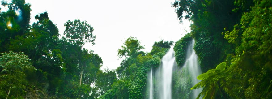 Bali Northern Trip : Circuit des chutes d'eau majestueuses