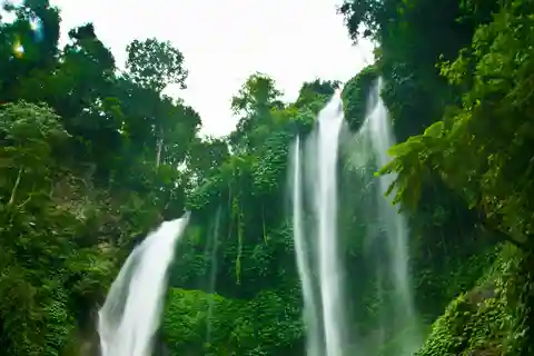 Bali Northern Trip : Majestic Waterfall Tour