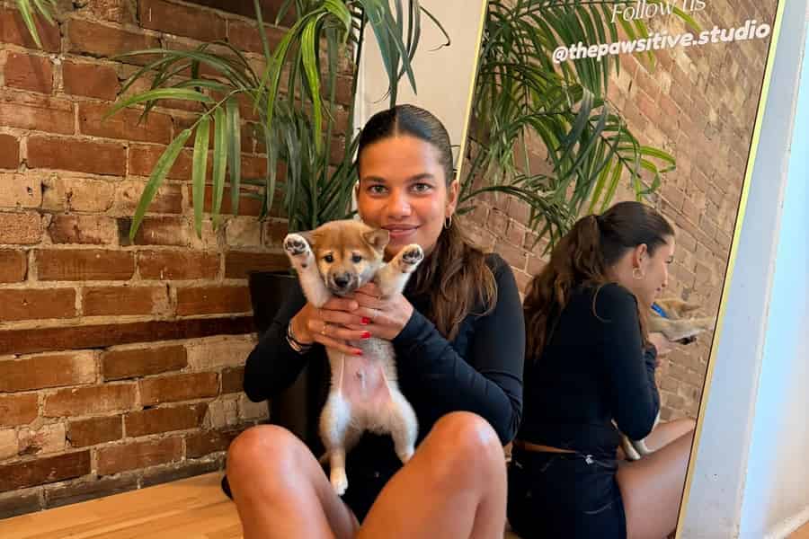 Puppy-Yoga-Session Montréal. Foto: GetYourGuide