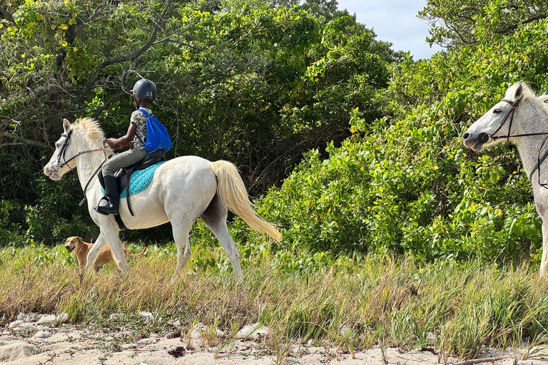 Saint-François : Balade à cheval en bord de mer de 2h30