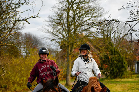 Dambulla: Scenic Countryside Horseback Ride 2-hour Dambulla: Scenic Countryside Horseback Ride