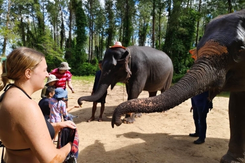 Interacción con el Elefante Khaolak Medio Día