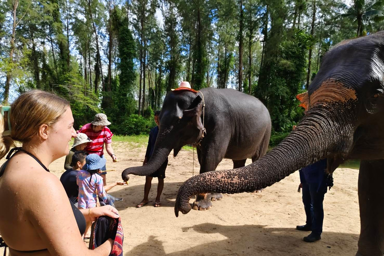 Interacción con el Elefante Khaolak Medio Día