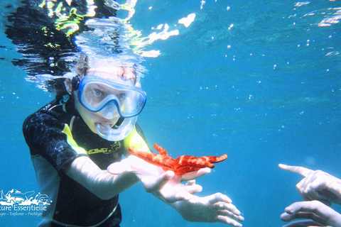 A day in the Lérins Islands: Snorkeling, Yoga & Running A Day in the Lérins Islands: Snorkeling, Yoga & Running