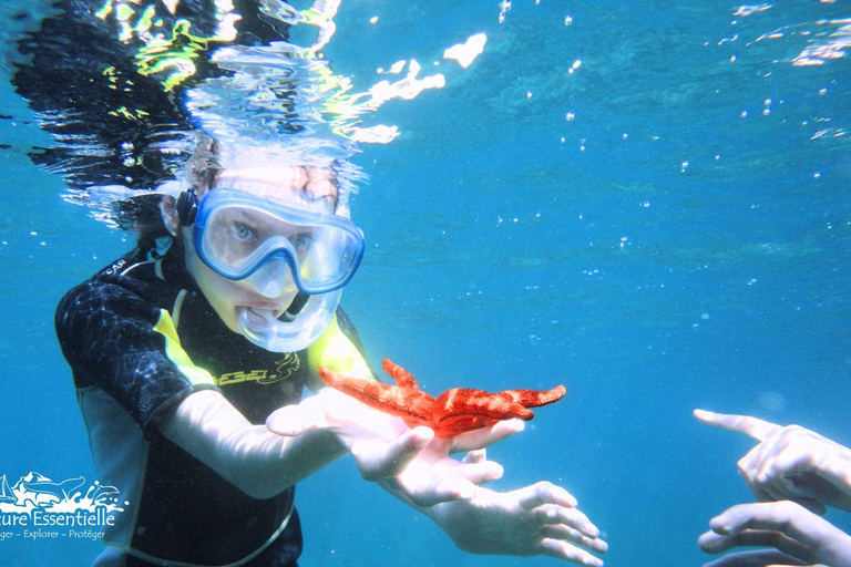A day in the Lérins Islands: Snorkeling, Yoga & Running A Day in the Lérins Islands: Snorkeling, Yoga & Running