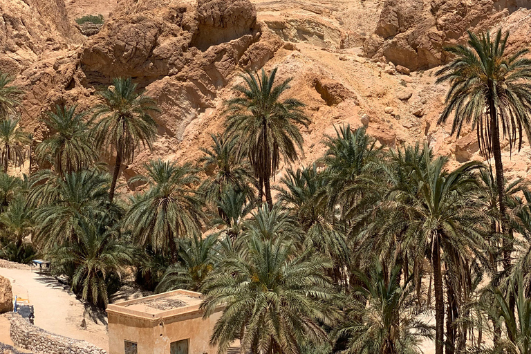 Tunisia: 2-Day, 1-Night Desert Trip - Kairouan, Matmata, Ksar Ghilane, Tataouine