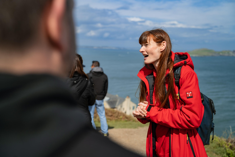 From Dublin: Howth Cliffs Guided Bus Tour