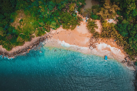 Mirissa: Bentota Day Trip with Cinnamon & Mask Workshop