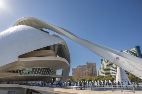 Valencia: Visit the Palau de Les Arts with an audio guide. Valencia: Check out the Palau de Les Arts with an audio guide.