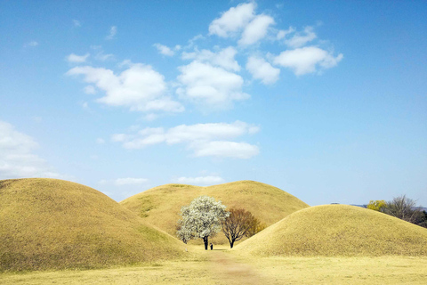 Busan : Sky Capsule ou visite printanière des cerisiers en fleurs de GyeongjuVisite printanière de Busan en Sky Capsule, rendez-vous à la station Seomyeon