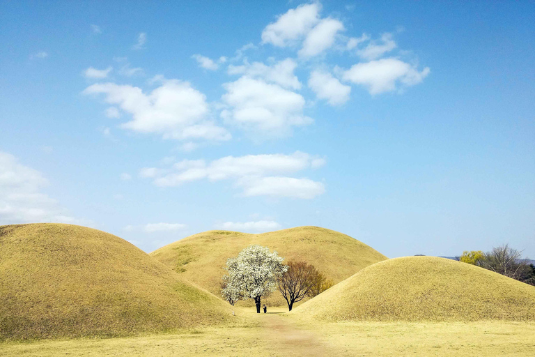 Busan : Sky Capsule ou visite printanière des cerisiers en fleurs de GyeongjuVisite printanière de Busan en Sky Capsule, rendez-vous à la station Seomyeon