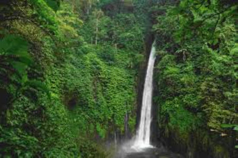 North Bali: Private Customizable Day Tour (All-Inclusive) make your own favorite itenerary