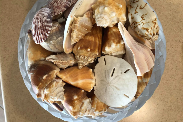 Naples: Keewaydin Island Shelling Adventure