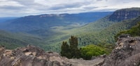 Sydney, Blue Mountains Scenic World, Wildlife Park y Almuerzo - Housity