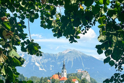 Ljubljana: Lake Bled, Bohinj, and Jasna Day Trip