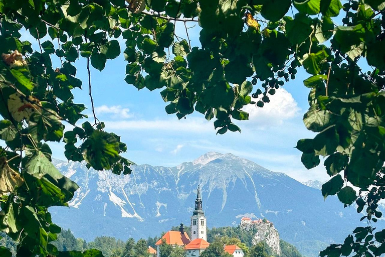 Ljubljana: Lake Bled, Bohinj, and Jasna Day Trip