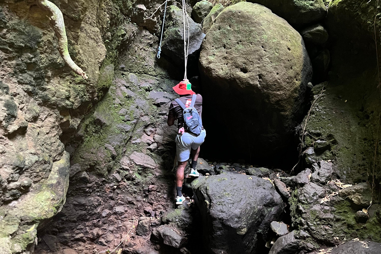 St Kitts: Bloody Point River Hike Petroglyphs+Bat Cave