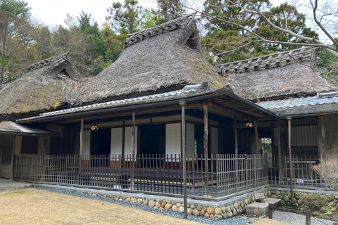 Nara Small Group Tour: Temples & Deer with a Licensed Guide Nara Walking Tour for Small Groups: Temples and Deer