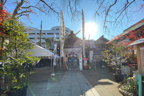 Tokio: Erlebe den Tsukiji-Markt mit einem Einheimischen (DE&amp;ENG)