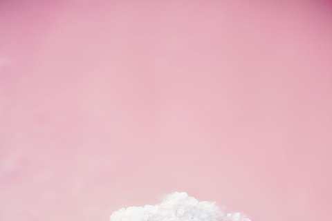 Rio Lagartos et Las Coloradas : EcoSafari Flamingo DeluxRio Lagartos et Las Coloradas : EcoSafari Flamingo Deluxe